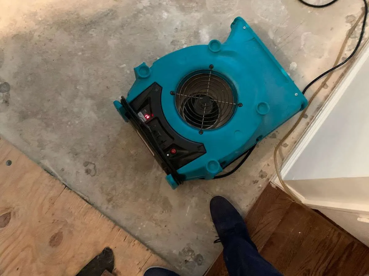Air mover drying subfloor during Commercial Water Damage Restoration in Kemp Mill
